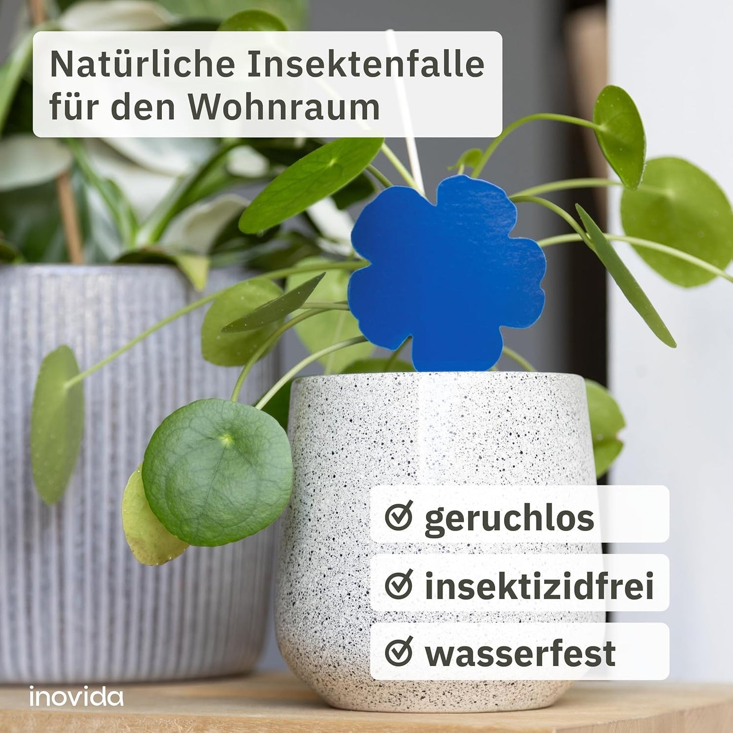 60 Blue Panels Against Thrips Without Insecticide - Adhesive Trap for Indoor Plants Pest Control - With Blausticker Fight Thrips - Fly Trap Adhesive Trap