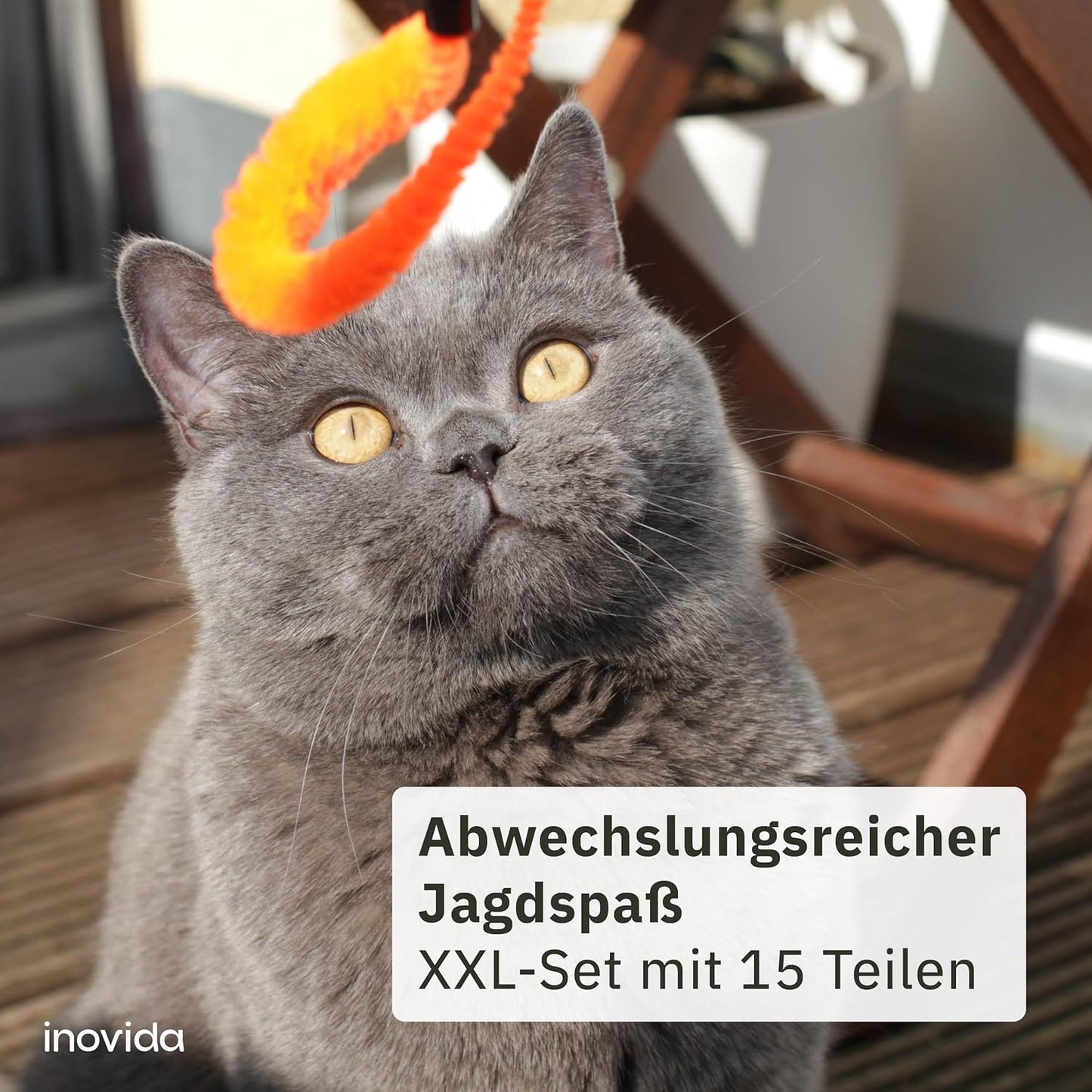 Cat Toy Set: XL 15 Pieces Cat Toy with Catnip - Vegan Toy for Cats with Cat Fishing, Feathers, Mouse, Worms - Kitten Toy Set Cats Gadgets