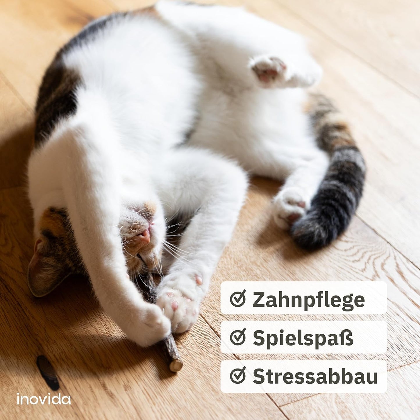Matatabi Stick Cat: 8 Matatabi Sticks for Cats Dental Care - Wooden Cat Chew Toy Against Bad Breath - Natural Cat Toy - Cat Sticks