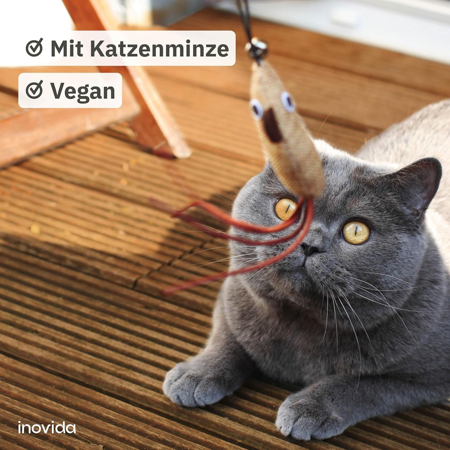 Cat Toy Set: XL 15 Pieces Cat Toy with Catnip - Vegan Toy for Cats with Cat Fishing, Feathers, Mouse, Worms - Kitten Toy Set Cats Gadgets