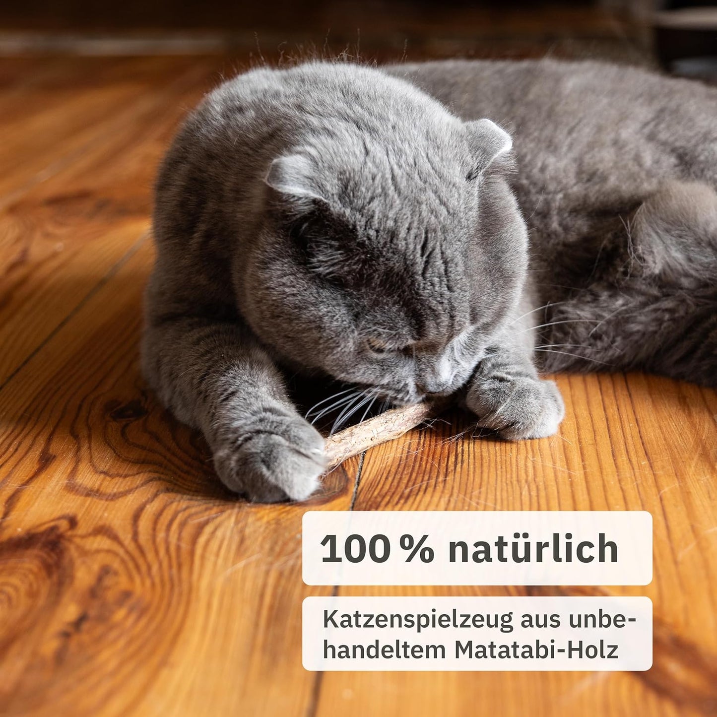 Matatabi Stick Cat: 8 Matatabi Sticks for Cats Dental Care - Wooden Cat Chew Toy Against Bad Breath - Natural Cat Toy - Cat Sticks