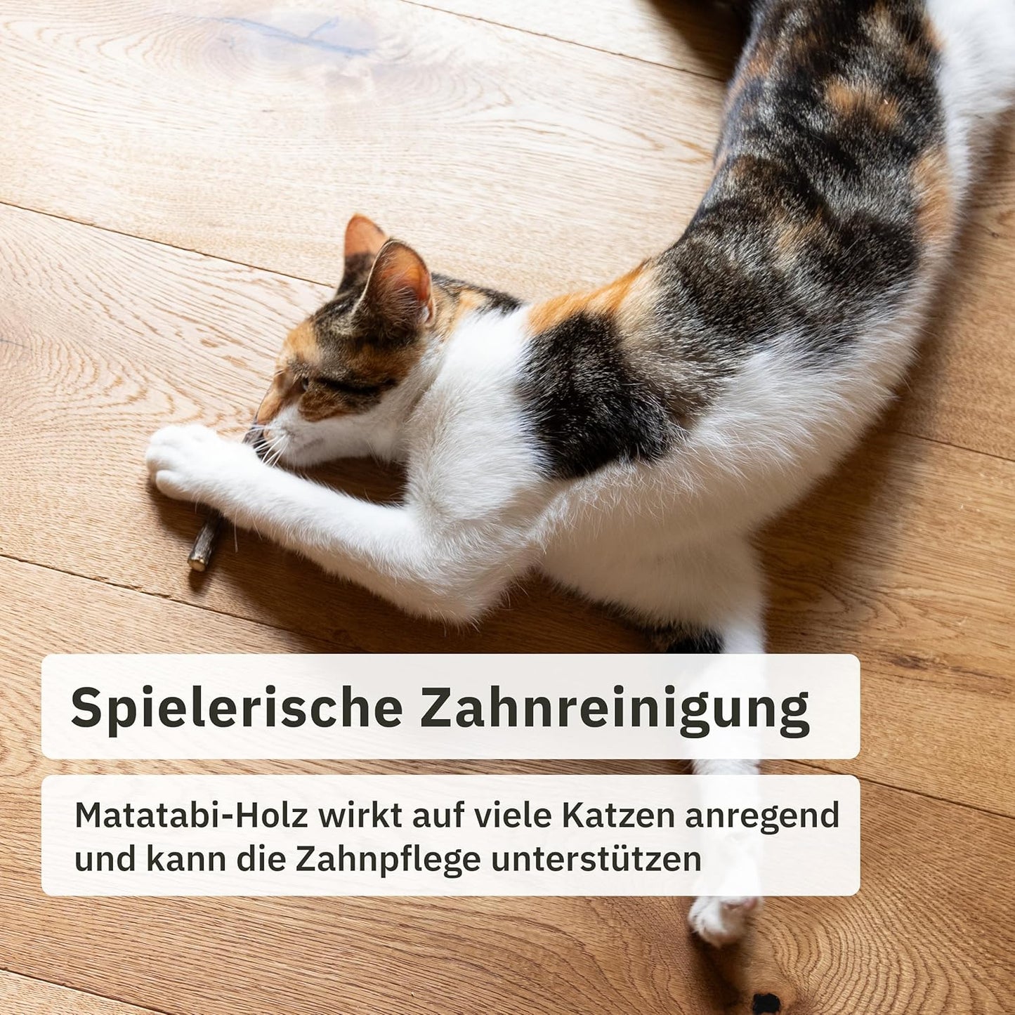 Matatabi Stick Cat: 8 Matatabi Sticks for Cats Dental Care - Wooden Cat Chew Toy Against Bad Breath - Natural Cat Toy - Cat Sticks