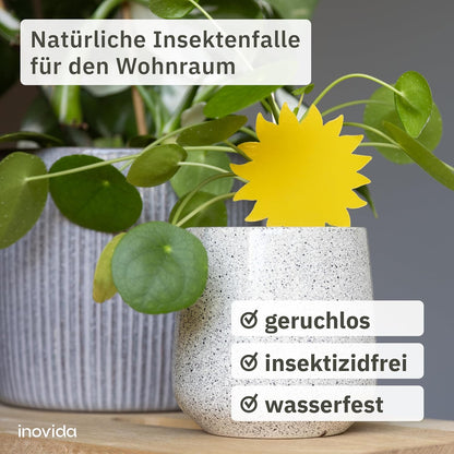 120x Yellow Sticker Fungus Gnats: 60 Fungus Gnats Yellow Stickers for Indoor Plants without Insecticide - Fight Fungus Gnats with Yellow Plates - Fly Trap Adhesive Trap - Against Fungus Gnats