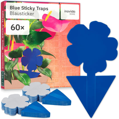 60 Blue Panels Against Thrips Without Insecticide - Adhesive Trap for Indoor Plants Pest Control - With Blausticker Fight Thrips - Fly Trap Adhesive Trap